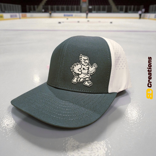 University of North Dakota Hawks Cap